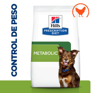 Hill's Prescription Diet Metabolic ração para cães